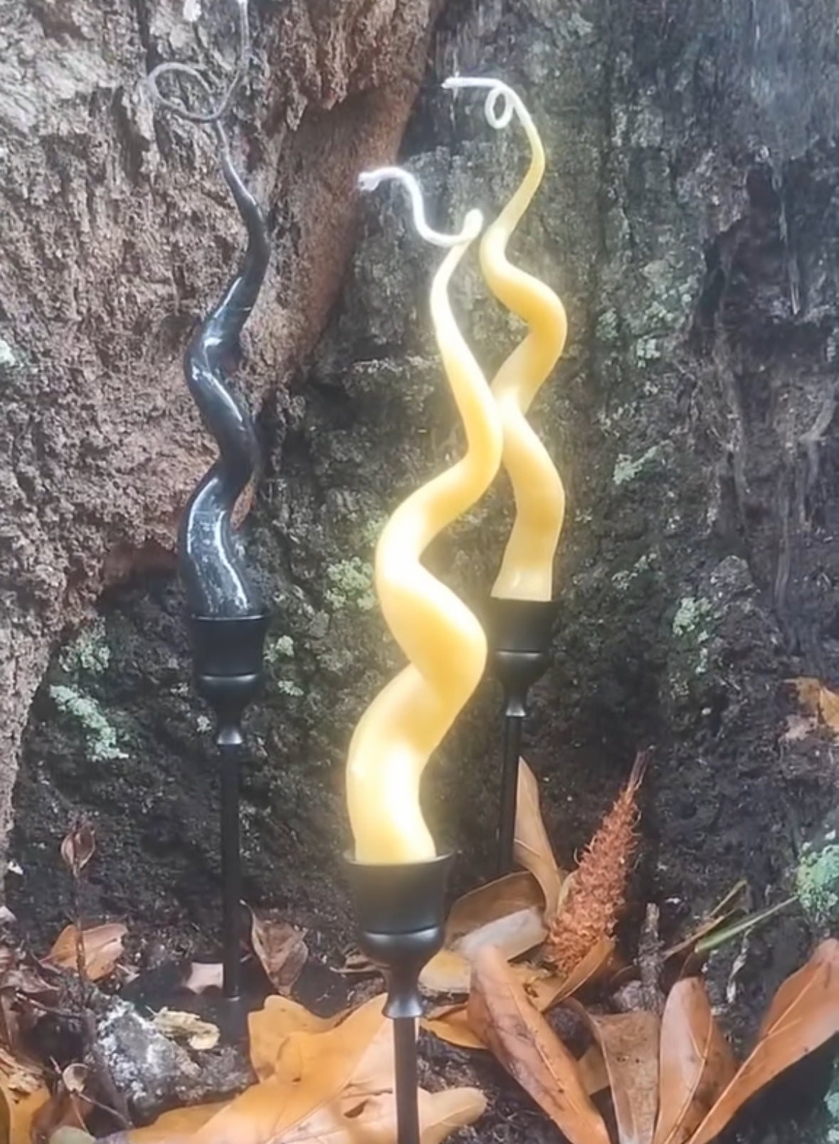 Twisted Wicks