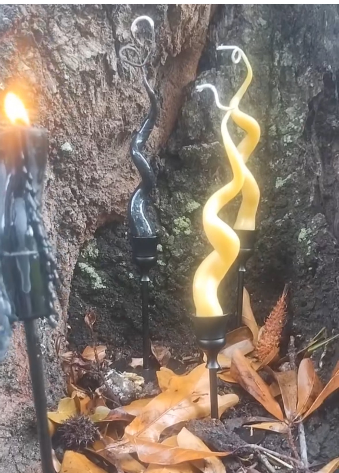 Twisted Wicks