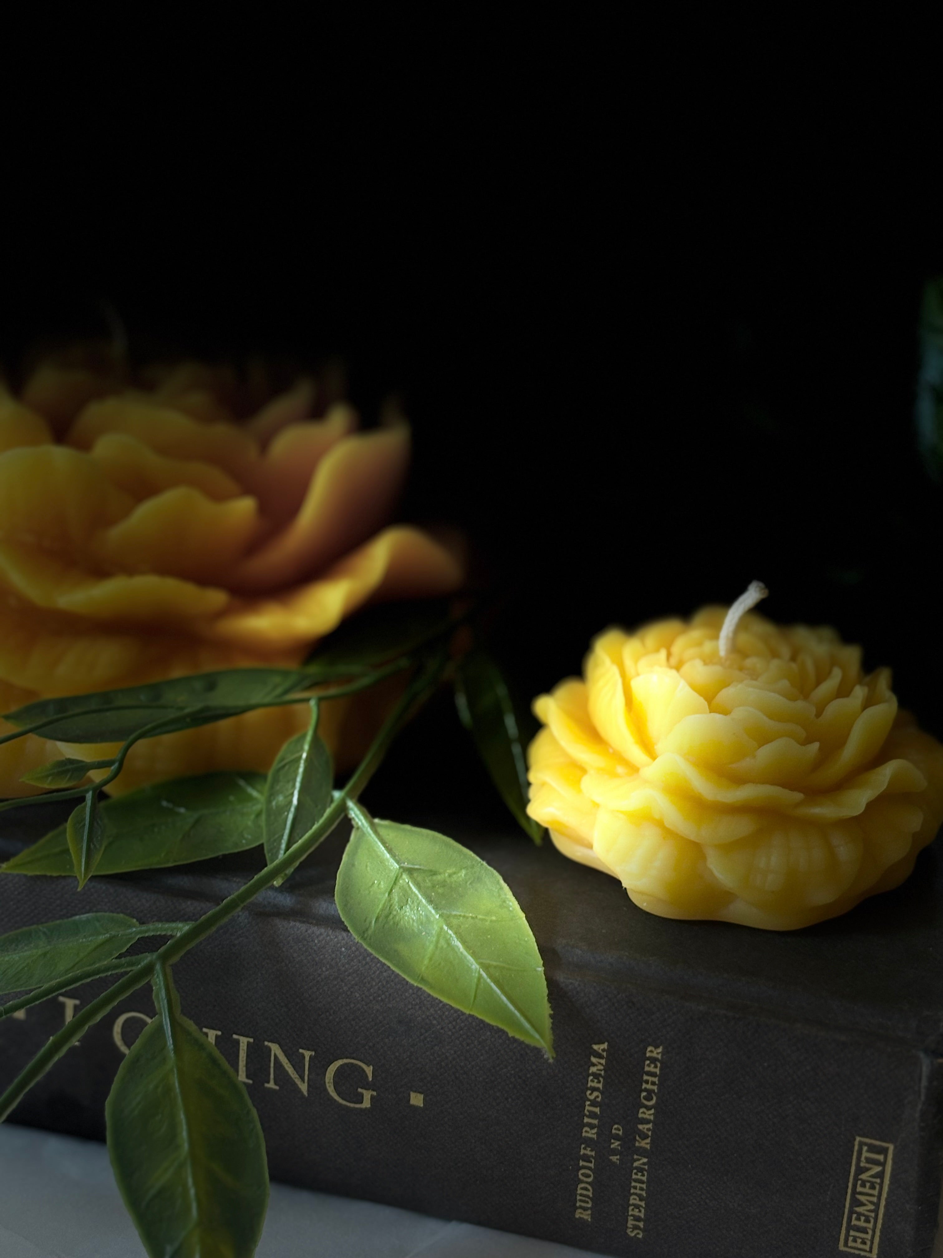 Peonies