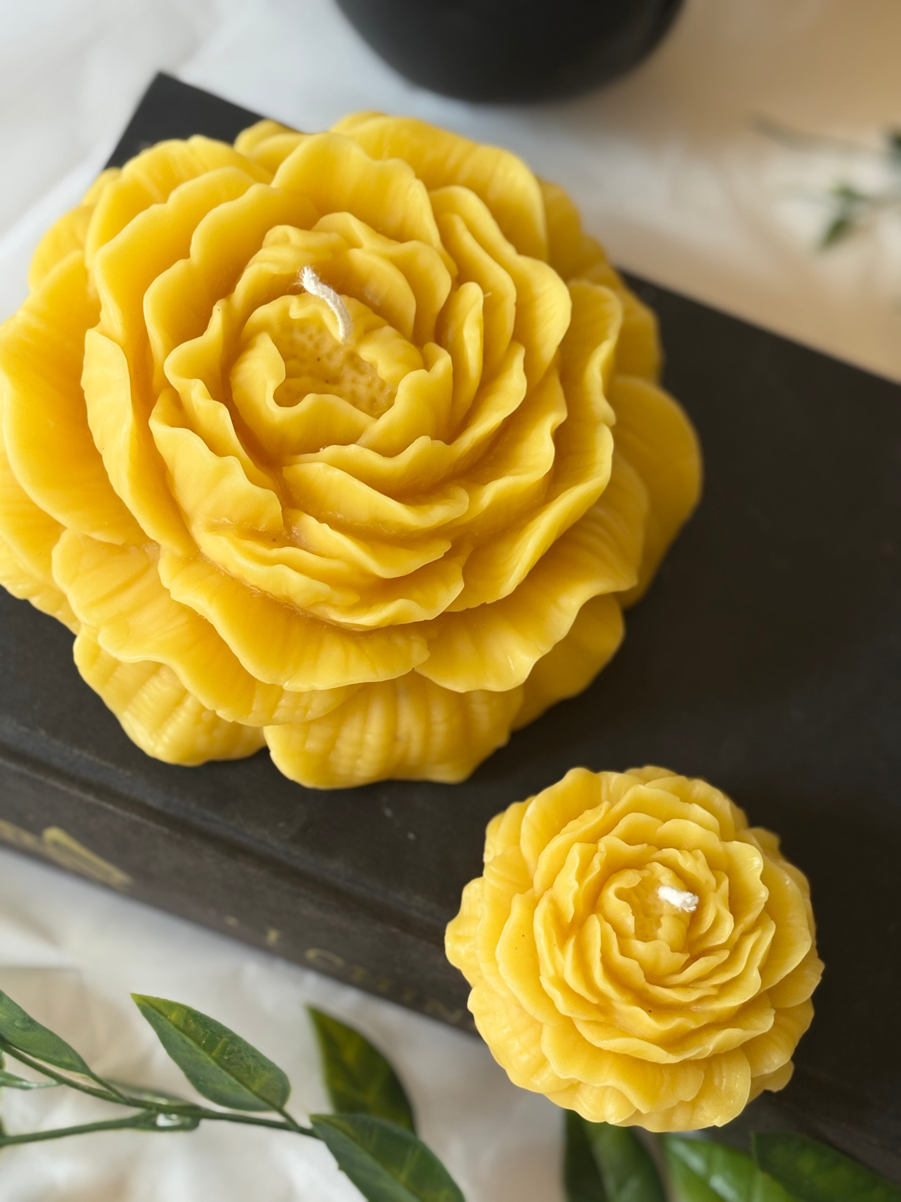 Peonies