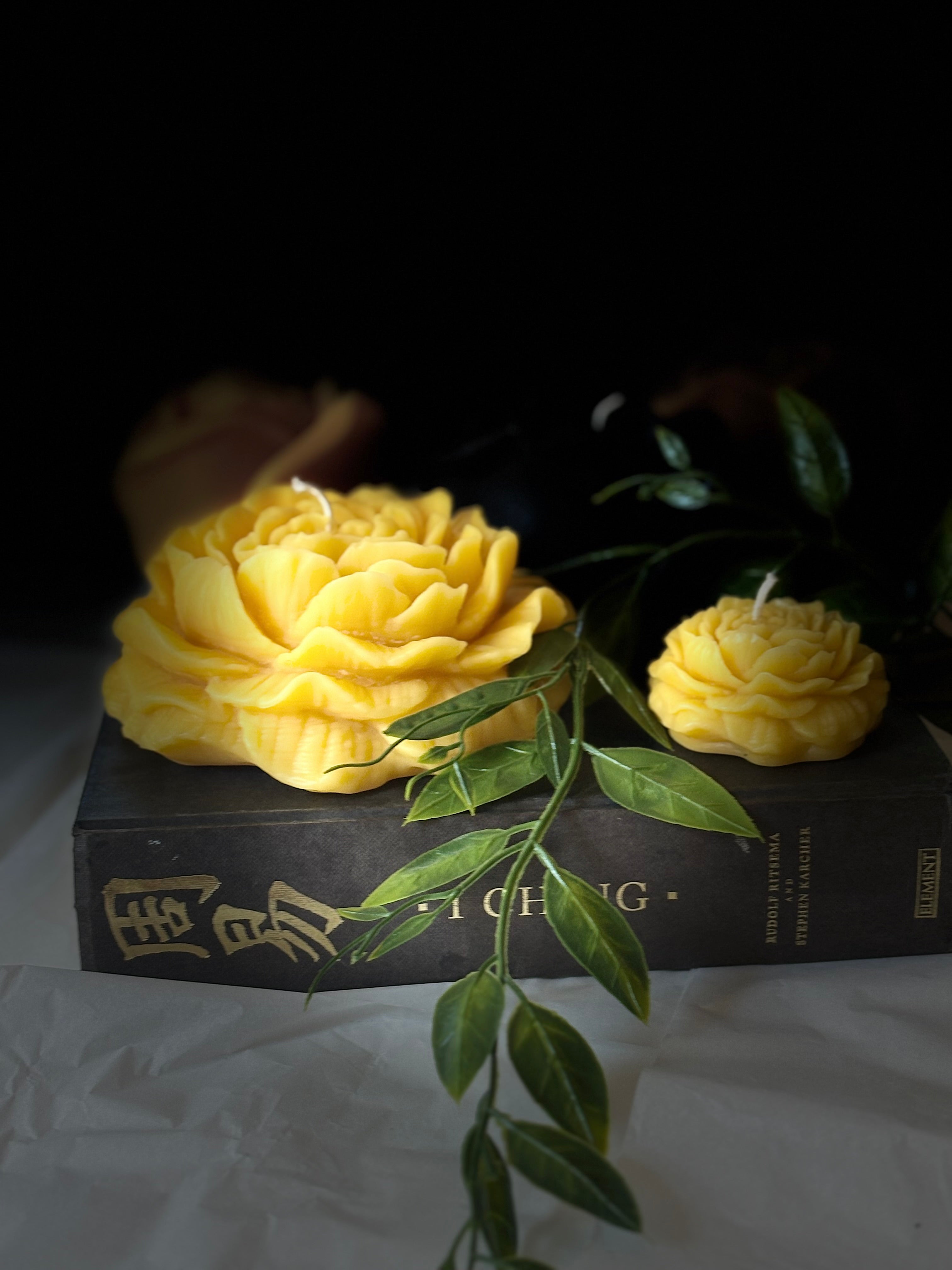 Peonies
